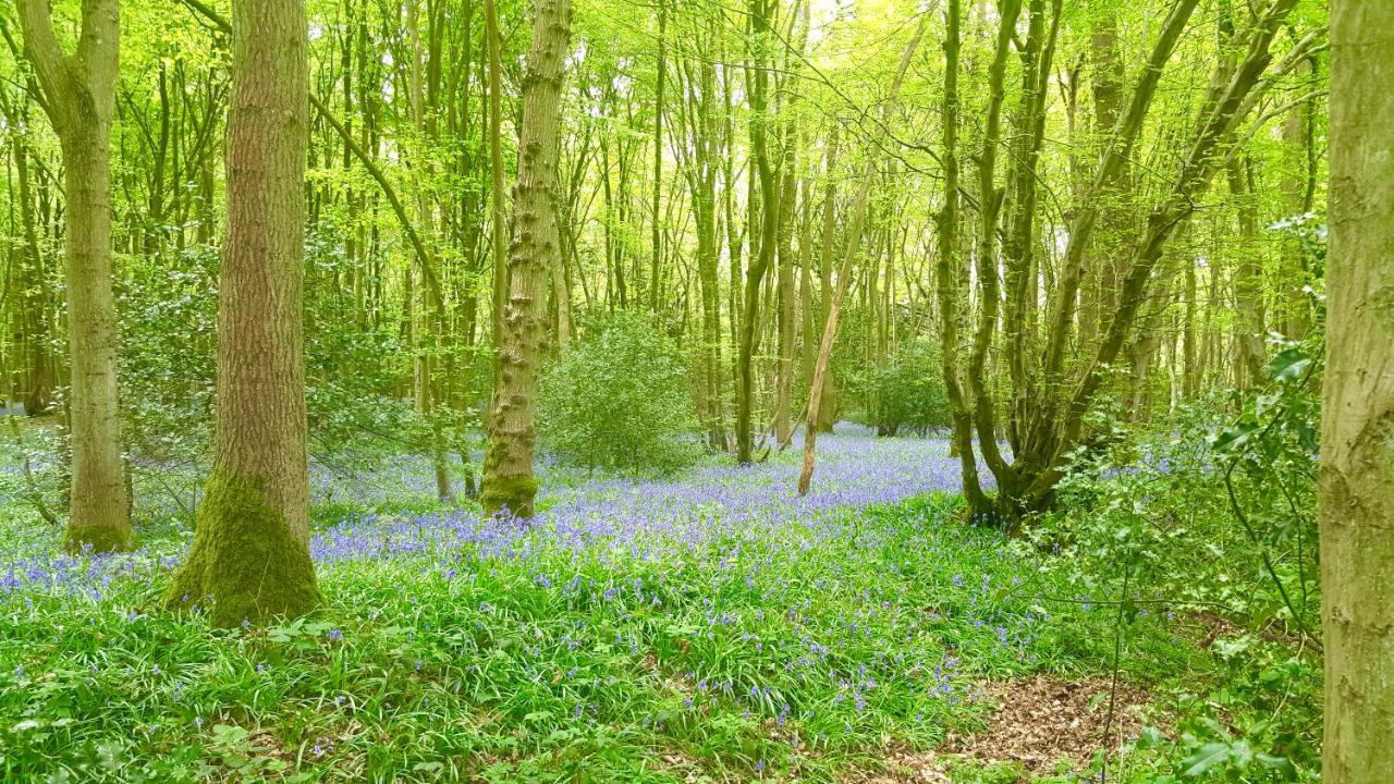 Ashwood Holiday Cottage. Ashford  Bagian luar foto
